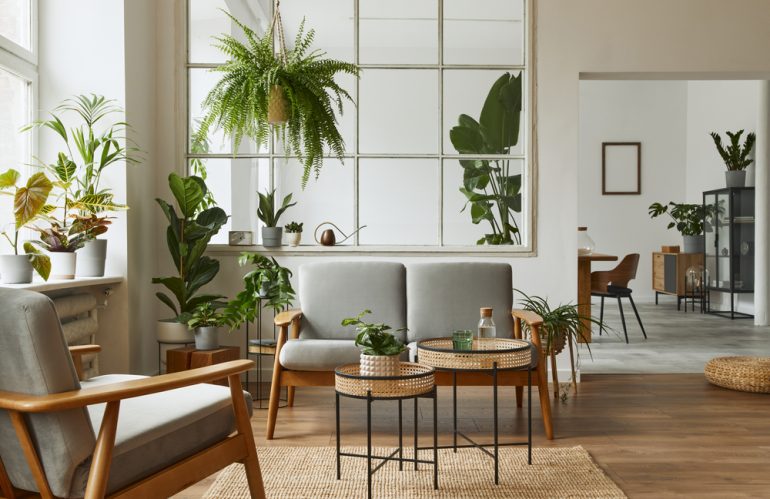 Vert dans votre salon : Les plantes d’intérieur parfaites pour égayer votre espace!